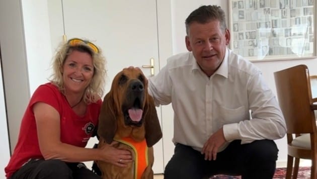 Auch Suchhund „Knödel“ von den K9Pro-Suchhunden hat das Versteck von Bürgermeister Scheider im Rathaus erschnüffelt (Bild: Jennifer Kapellari)