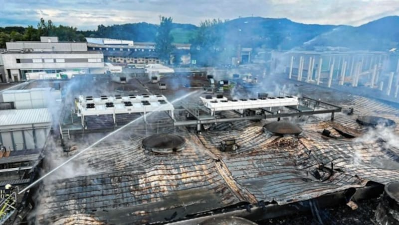 Salzburg Berufsfeuerwehr Salzburg Brand Großbrand Bergheim Bei Großbrand in Schlachthof trat Ammoniakgas aus - Sperrzone erweitert (Bild: Markus Tschepp)