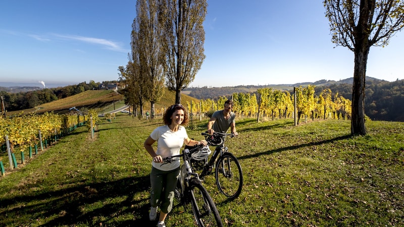 Viele bevorzugen Urlaube in der Steiermark. (Bild: Steiermark Tourismus / Tom Lamm)