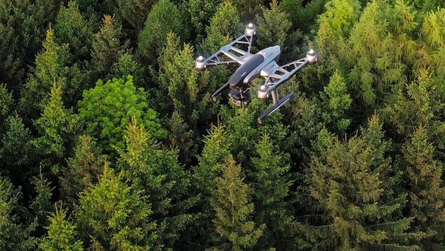 Bisher war ein Wald für die Kameraaugen einer Drohne ein Hindernis. Jetzt hat ein Linzer Forscherteam ein Programm entwickelt, mit dem man selbst durch dichtes Blätterdach durchschauen kann. (Bild: Markus Wenzel)