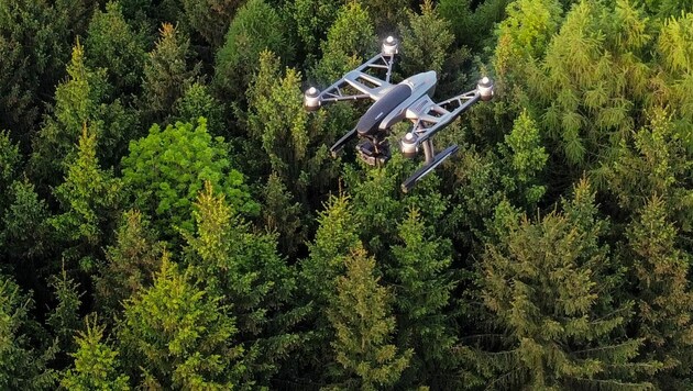 Bisher war ein Wald für die Kameraaugen einer Drohne ein Hindernis. Jetzt hat ein Linzer Forscherteam ein Programm entwickelt, mit dem man selbst durch dichtes Blätterdach durchschauen kann. (Bild: Markus Wenzel)
