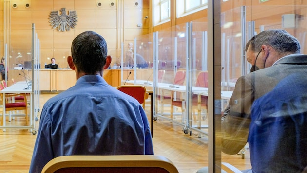 Vater und Nachbar müssen sich am Mittwoch vor Gericht in Linz verantworten. (Bild: Horst Einöder/Flashpictures)