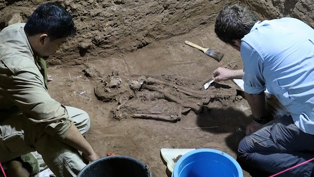 Archäologen haben bei einem Skelett (Bild) den bisher ältesten Nachweis für eine an einem Menschen durchgeführte Amputation gefunden. (Bild: Griffith University/Tim Maloney)