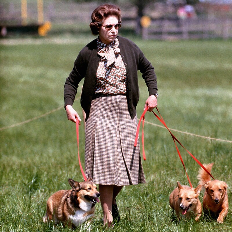 Als „Tiny“, einer der Corgis von Queen Elizabeth II., mit einem Dackel gepaart wurde, entstand die neue Rasse „Dorgi“. (Bild: PA / picturedesk.com)