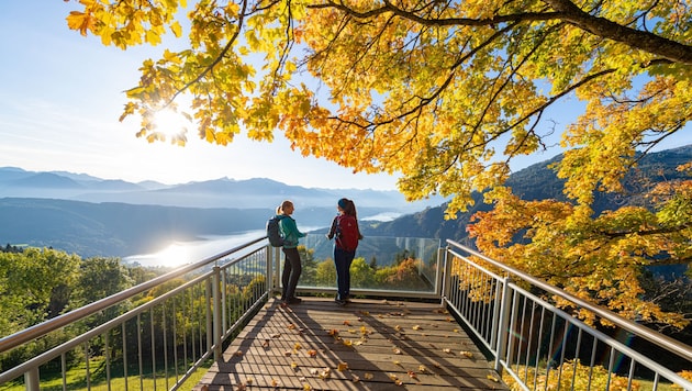 Für eine kleine Wanderung oder einen Herbstspaziergang bietet sich das Nationalfeiertagswochenende jedenfalls an. (Bild: ©Franz Gerdl)