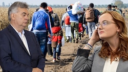 Die mittlerweile als ÖVP-Generalsekretärin zurückgetretene Laura Sachslehner sorgte im Sommer für einen Krach innerhalb der türkis-grünen Koalition, da sie sich vehement gegen den Klimabonus für Asylwerber stellte. (Bild: Krone KREATIV, APA, stock.adobe)