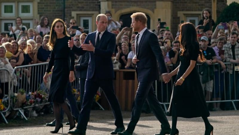 Die Prinzen Harry und William im Gespräch miteinander (Bild: Alberto Pezzali / AP / picturedesk.com)