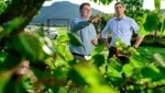 Bernhuber (derecha), el productor de albaricoques Lorenz Reisinger están preocupados por el albaricoque de Wachau como marca global (Imagen: Imre Antal)