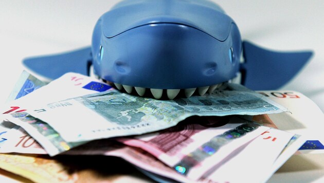 Vorsicht vor Kredithaien: Sie ziehen Ihnen Geld aus der Tasche, ein echter Kredit kommt meist nicht zustande. (Bild: Caroline Seidel / dpa / picturedesk.com)
