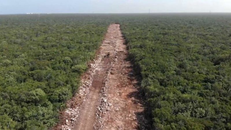 Die Cenote ist durch den Bau einer neuen Bahnlinie mitten durch den Dschungel bedroht. (Bild: kameraOne (Screenshot))