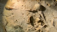 In Mexiko haben Forscher in einer Unterwasserhöhle, die Überreste eines Skeletts (Bild) entdeckt, das vermutlich mehr als 8000 Jahre alt ist. (Bild: kameraOne (Screenshot))