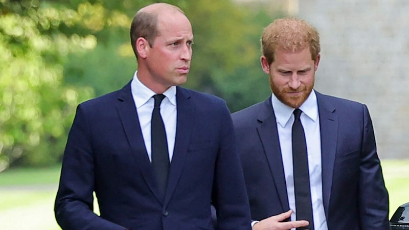 Ein Bild aus früheren Zeiten – die Prinzen William und Harry gehen einander mittlerweile aus dem Weg. (Bild: AFP)