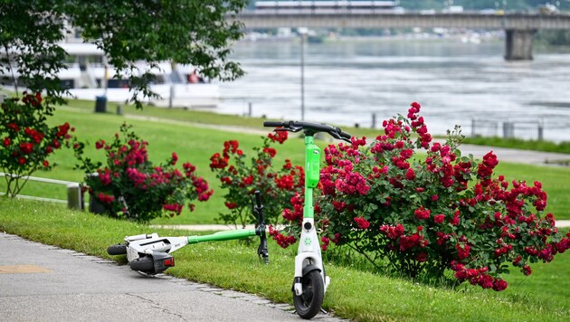 Das die E-Scooter im gesamten Stadtgebiet häufig gedankenlos „abgestellt“ werden, gefällt nicht jedem. (Bild: Alexander Schwarzl)