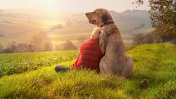 Ein Hund ist ein Freund fürs Leben und ist aus vielen Familien nicht mehr wegzudenken. (Bild: Jean Kobben - stock.adobe.com)