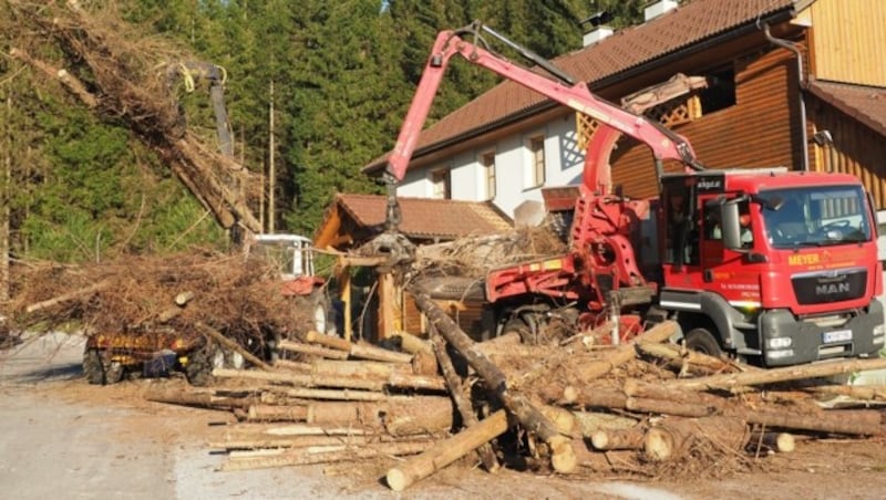 In unseren Wäldern fällt viel Borkenkäfer-Schadholz an. (Bild: Gabriele Moser)