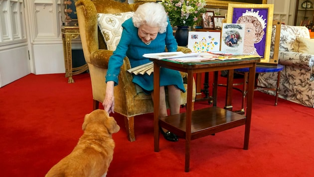 Queen Elizabeth II. im Februar 2022 mit ihrem Dorgi „Candy“ (Bild: www.viennareport.at)