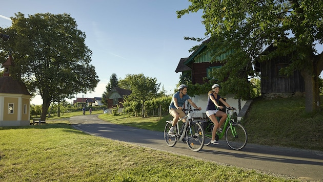 Machen Sie Ihren Aufenthalt im Hotel Der Freiraum zum E-Bike Erlebnis. (Bild: Der Freiraum)