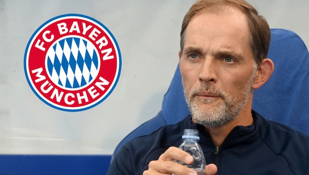 Thomas Tuchel (Bild: APA/AFP/DENIS LOVROVIC)