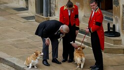 Prinz Andrew wartet mit Corgis der Queen auf Schloss Windsor auf die Ankunft ihres Sarges. (Bild: PETER NICHOLLS / REUTERS / picturedesk.com)