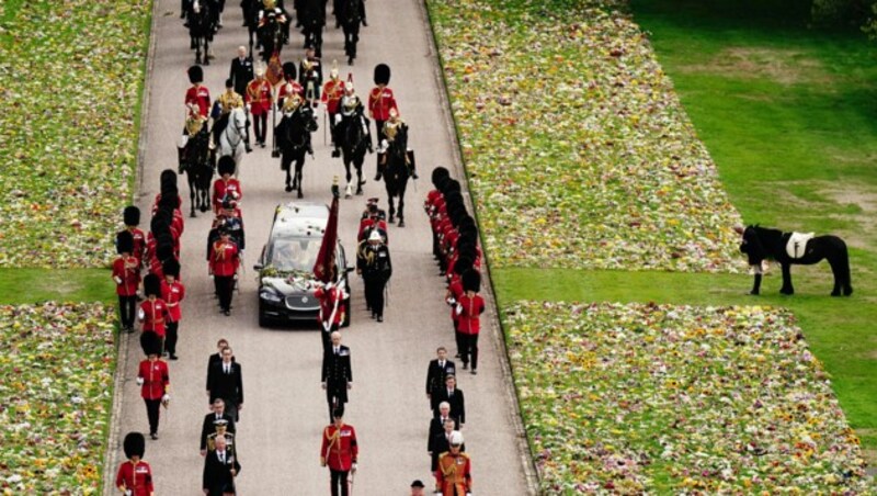 „Emma“, das Lieblingspony von Queen Elizabeth, stand beim Einzug des Sarges der Königin Spalier. (Bild: PA)