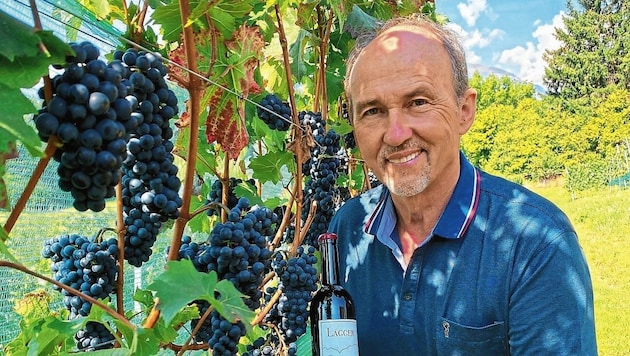 Harald Lagger betreibt einen Weingarten oberhalb des Millstätter Sees. (Bild: Elisa Aschbacher)