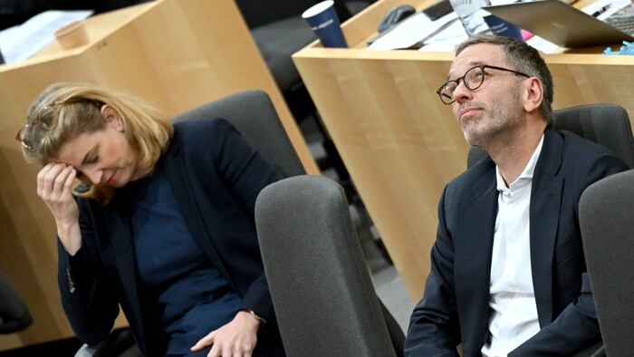 NEOS-Klubchefin Beate Meinl-Reisinger und FPÖ-Chef Herbert Kickl