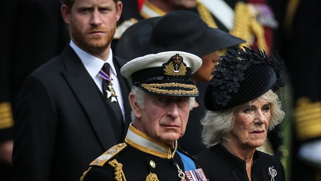 Prinz Harry und König Charles waren sich beim Geschenk von Lilibet Diana uneins. (Bild: APA/Photo by ISABEL INFANTES/AFP)