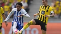 Herthas Jean-Paul Boetius (li.) im Duell mit BVB-Star Marco Reus (Bild: AP)