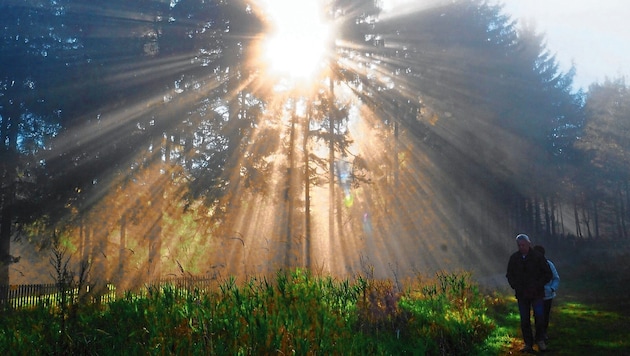 Es soll nochmal sonnig und wärmer werden – ein Goldener Herbst für Oberösterreich (Bild: Gabriele Moser)