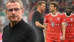 Für Marcel Reif ist Ralf Rangnick ein Trainerkandidat für Bayern München, wo Rangnick-Schüler Julian Nagelsmann auch schon Coach war. (Bild: AFP, krone.at-grafik)