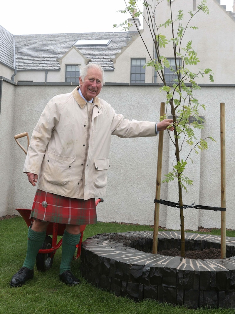 König Charles mit einem Baum, den er während eines Schottland-Besuchs gepflanzt hat (Bild: APA/Photo by Paul Campbell/AFP)