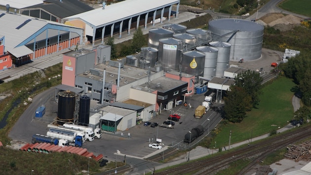 Die Biodiesel Kärnten GmbH hat ihren Standort in Arnoldstein und produziert jährlich rund 30.000 Tonnen an Biodiesel, der aus Altölen und Fetten gewonnen wird. Das Unternehmen profitiert von der aktuellen Energiekrise. (Bild: zVg)