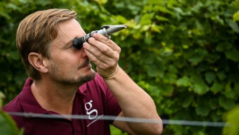 Leo Gmeiner stellt den Zuckergehalt der Trauben mit dem Refraktometer fest. (Bild: Wenzel Markus)