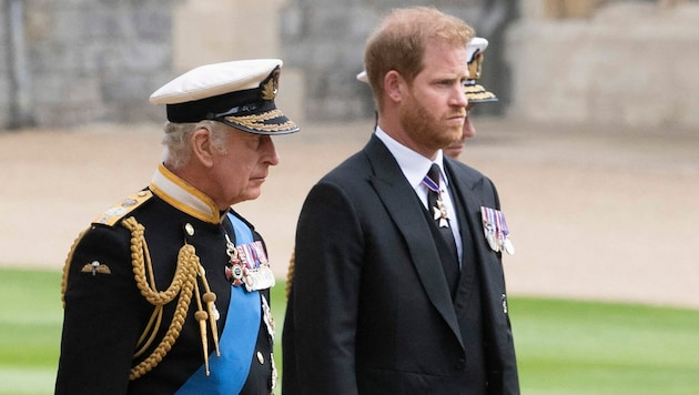 König Charles und sein Sohn Prinz Harry (Bild: APA/AFP)