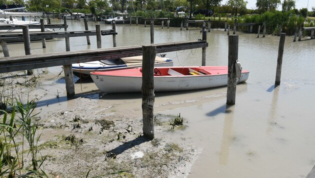 Niedriger Wasserstand: Manche Boote lagen heuer im Schlamm. (Bild: Huber Patrick)