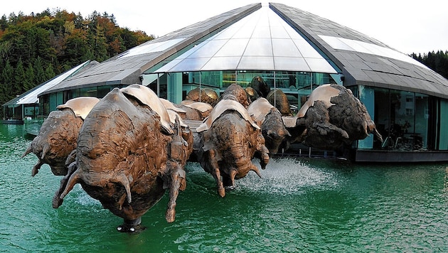 The bull as a trademark: 14 bulls storm out of the Noch company headquarters in Fuschl (Salzburg). (Bild: APA/picturedesk.com/Barbara Gindl)