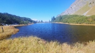 Die Wanderin wird im Bereich Wiegensee gesucht.  