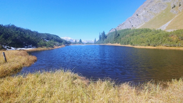 Die Wanderin wird im Bereich Wiegensee gesucht.