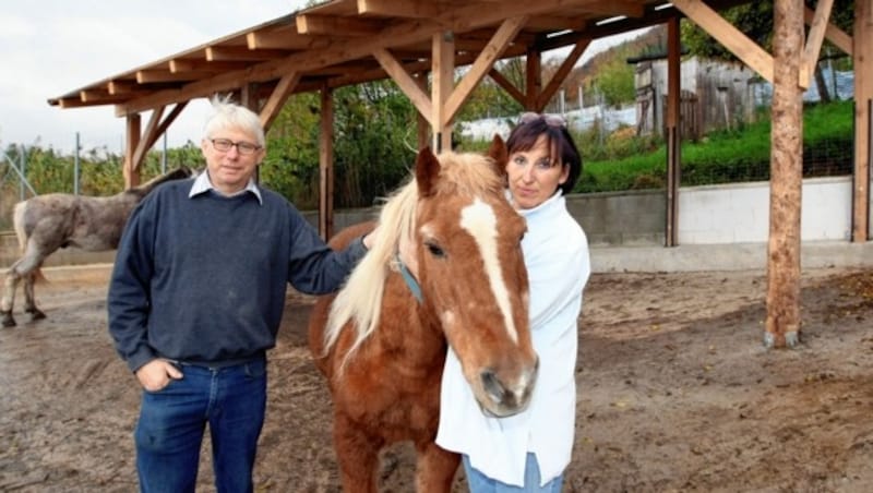 Das Tierparadies Schabenreith ist weit über die Grenzen Oberösterreichs bekannt. (Bild: Kronen Zeitung/ Chris Koller)