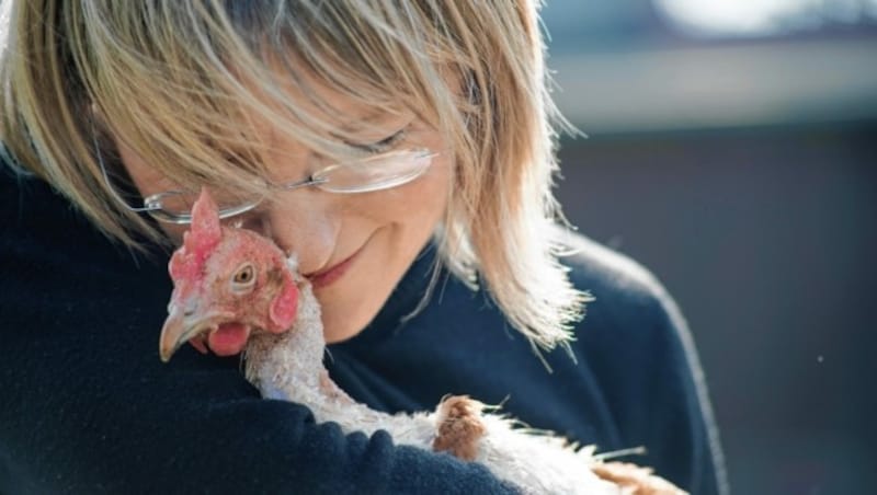 Hier finden Hühner einen Gnadenplatz, wo sie gut behütet bleiben dürfen. (Bild: Verein Rette dein Huhn)