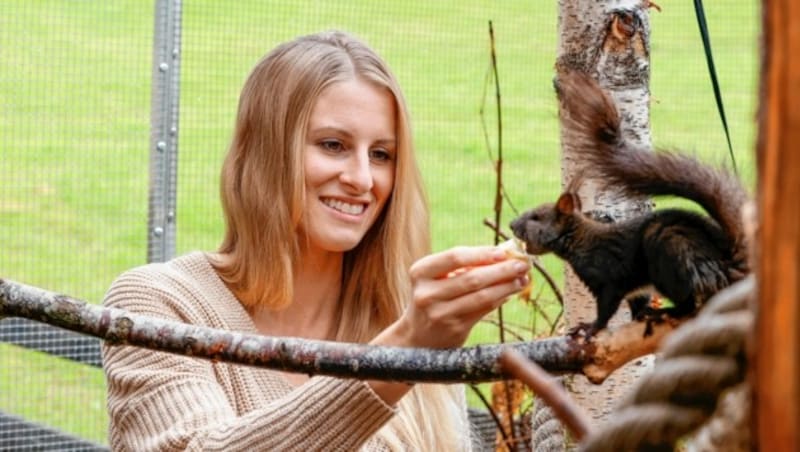 Carmen Haslinger betreibt die „Eichhörnchen Hilfe“ in Salzburg. (Bild: Markus Tschepp)