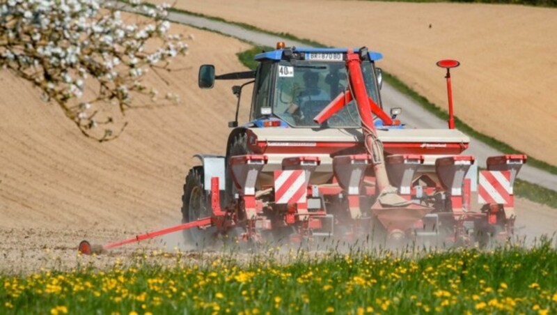 Land- und Forstwirte können im Nachhinein eine pauschale Kompensation pro Hektar Anbaufläche zurückfordern. (Bild: Scharinger Daniel)