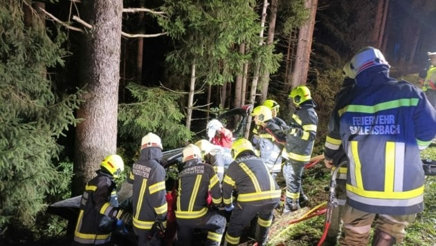 Die Feuerwehr musste die Lenker bergen. (Bild: FF Sprinzenstein)