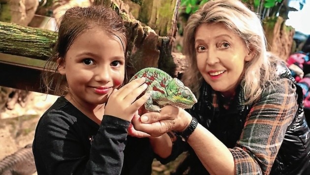 Auch der Reptilienzoo Klagenfurt in der langen Nacht der Museen geöffnet. (Bild: Rojsek-Wiedergut Uta)