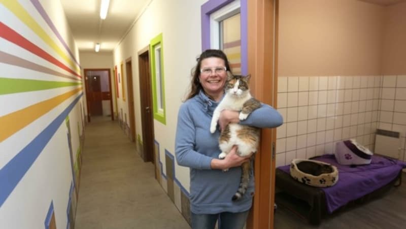 Dr. Claudia Herka ist die gute Seele im Tierheim Parndorf. (Bild: Reinhard Judt)