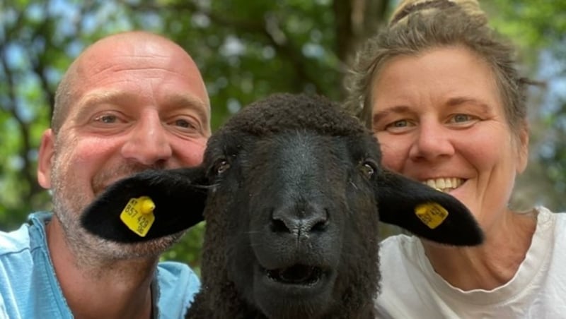 Die Nussbaumers führen das „Gut Aiderbichl“ des Burgenlandes, den Hof Sonnenweide. (Bild: Hof-Sonnenweide)