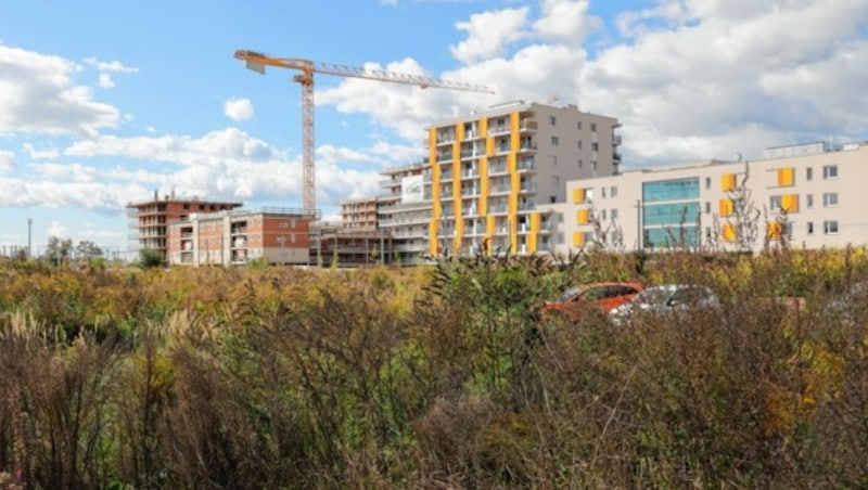 "Am Steinfeld 1" in Graz soll das Bildungsquartier entstehen (Bild: Christian Jauschowetz)