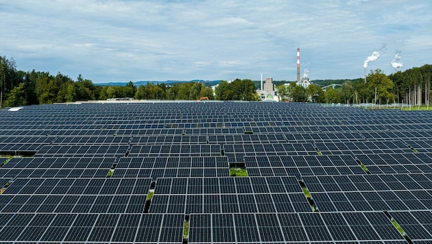 Die Photovoltaikanlage steht auf einer ehemaligen Deponie. (Bild: Lenzing AG)