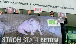 Protest vor dem Landesgericht Korneuburg: Der Verein gegen Tierfabriken (VGT) hatte die Causa im Juni aufgedeckt. (Bild: Imre Antal)