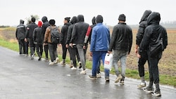 Männliche Flüchtlinge in Österreich (Bild: P. Huber)